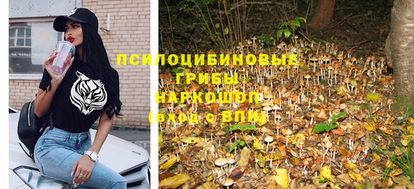 мдпв Волоколамск