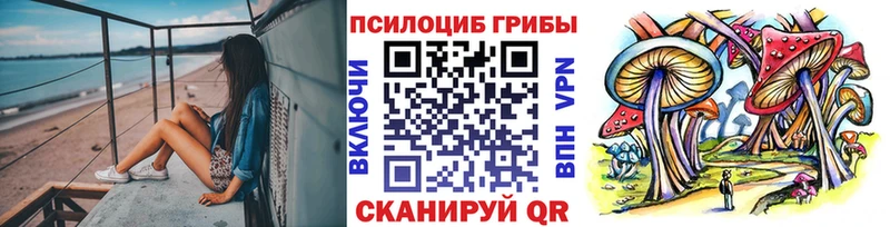 Псилоцибиновые грибы Cubensis  Красково 